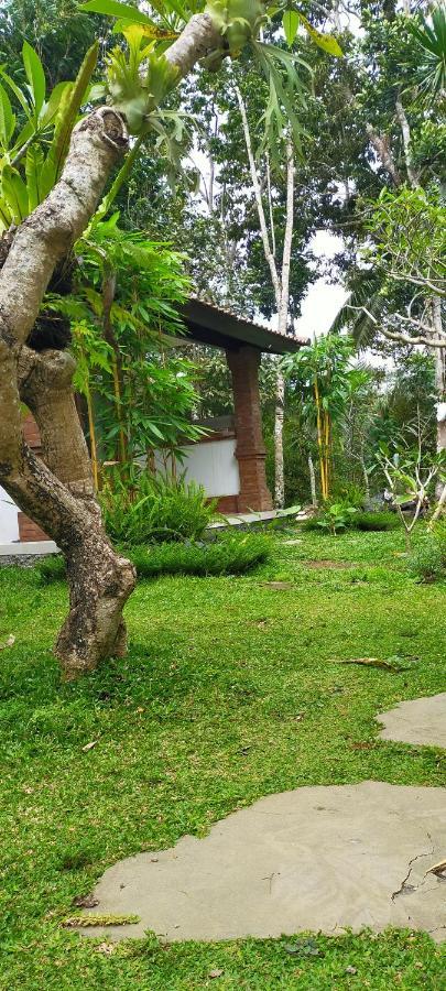 Tangkas House Apartment Tampaksiring Luaran gambar
